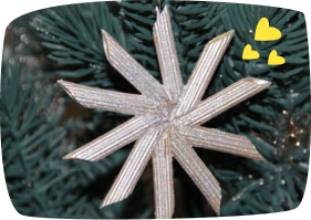 Estrela prateada com penne 
